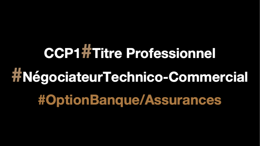Représentation de la formation : Titre Professionnel Négociateur Technico-Commercial - Option Banque/Assurances - CCP 1