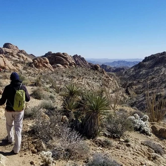 tourhub | Intrepid Travel | Hiking and Camping in Joshua Tree 