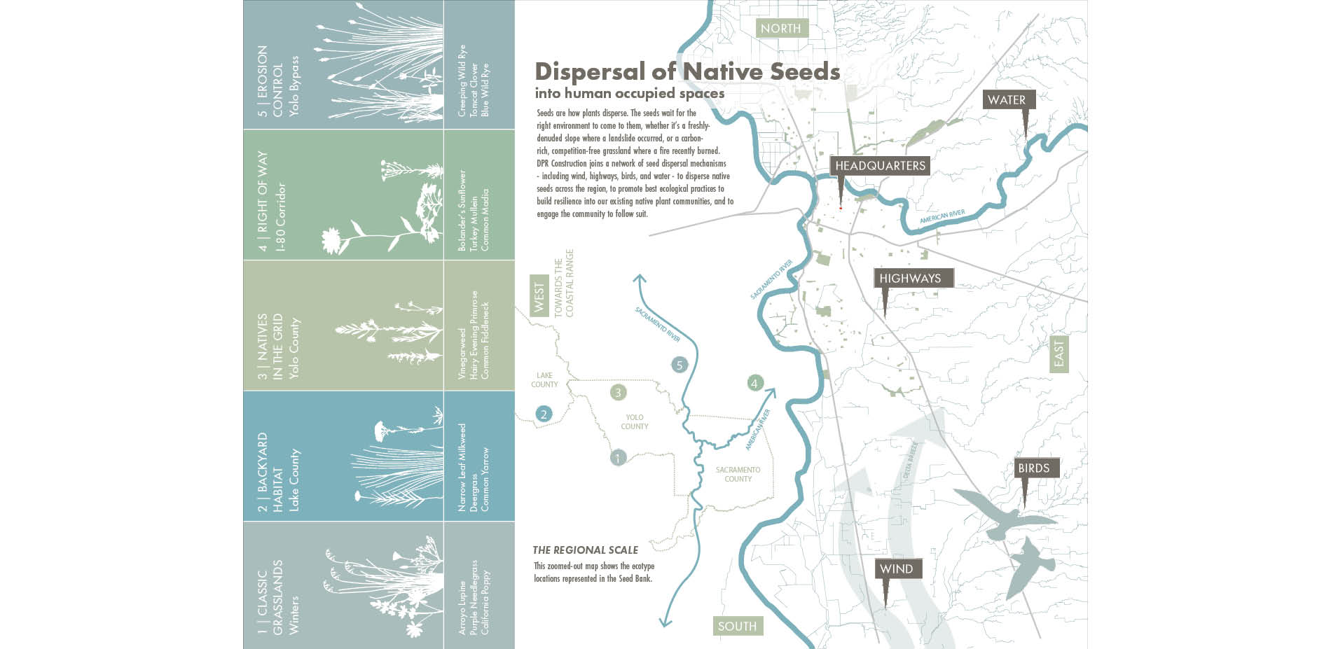 Dispersal of Native Seeds