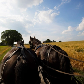 tourhub | Empire Vacations | Washington DC, Philadelphia & The Amish Country 