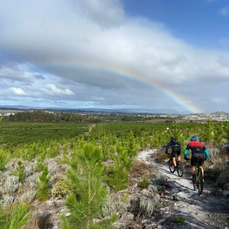 tourhub | Cape Adventure Brands | 2 Day Elgin Valley Mountain Bike Tour 