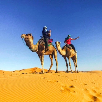 tourhub | Bamba Travel | Marrakech City & Desert Adventure 5D/4N 