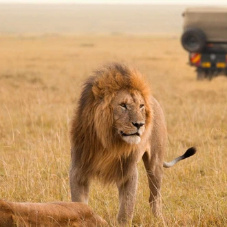 tourhub | Jossec Tours and Safaris | 3-Day/2-Night Maasai Mara Group Safari From Nairobi 