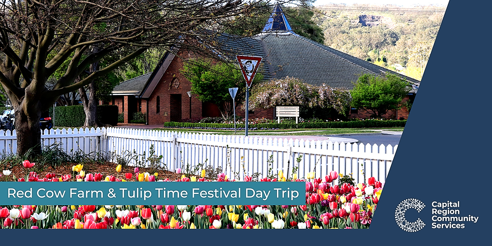 Red Cow Farm & Bowral Tulip Time Festival Day Trip, Bowral, Wed 21st Sep  2022, 6:45 am - 6:30 pm AEST | Humanitix