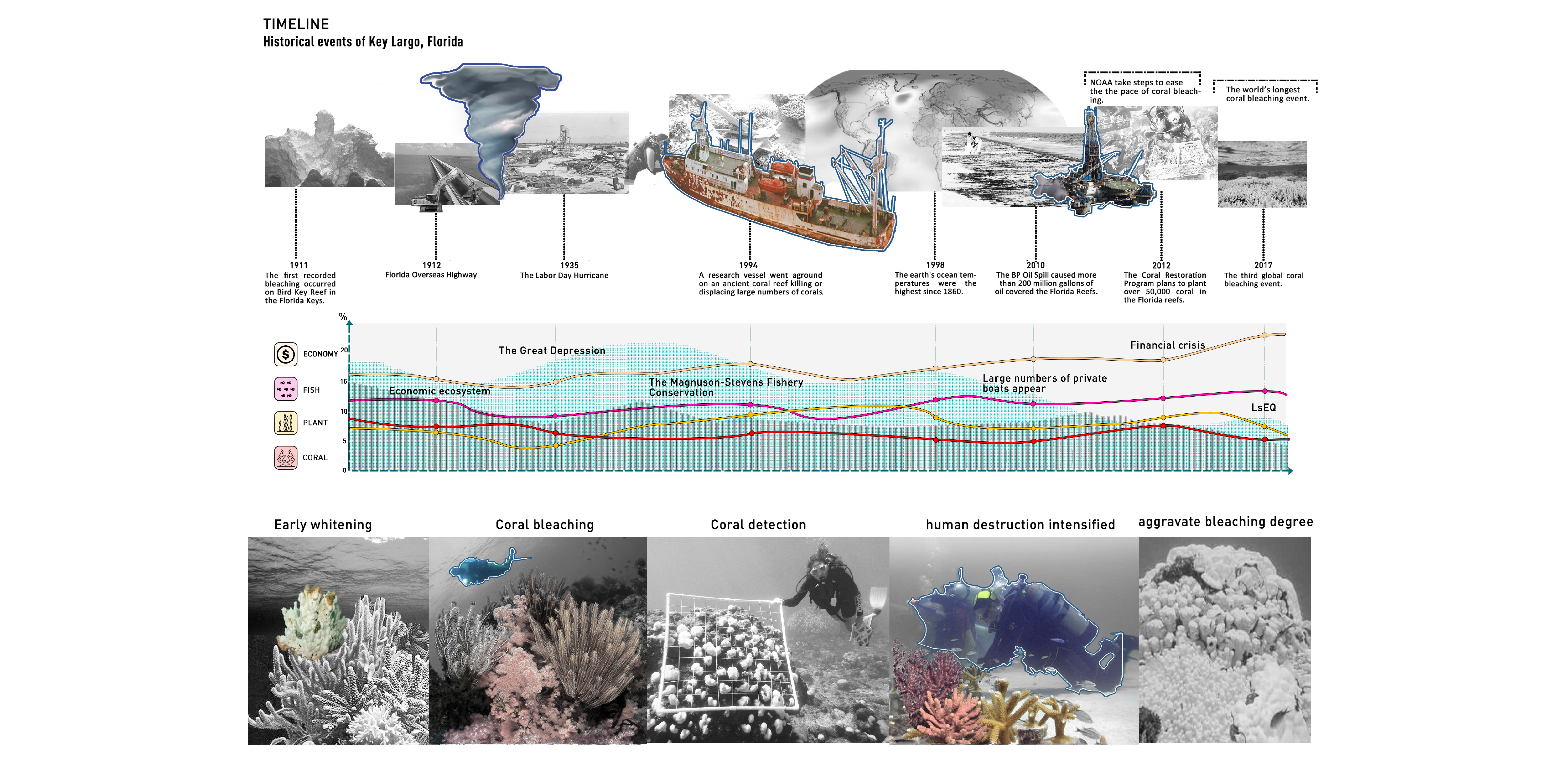 TIMELINE HISTORICAL DEVELOPMENT