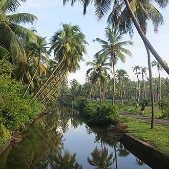 tourhub | Exodus Adventure Travels | Cycle the Coast of Kerala 