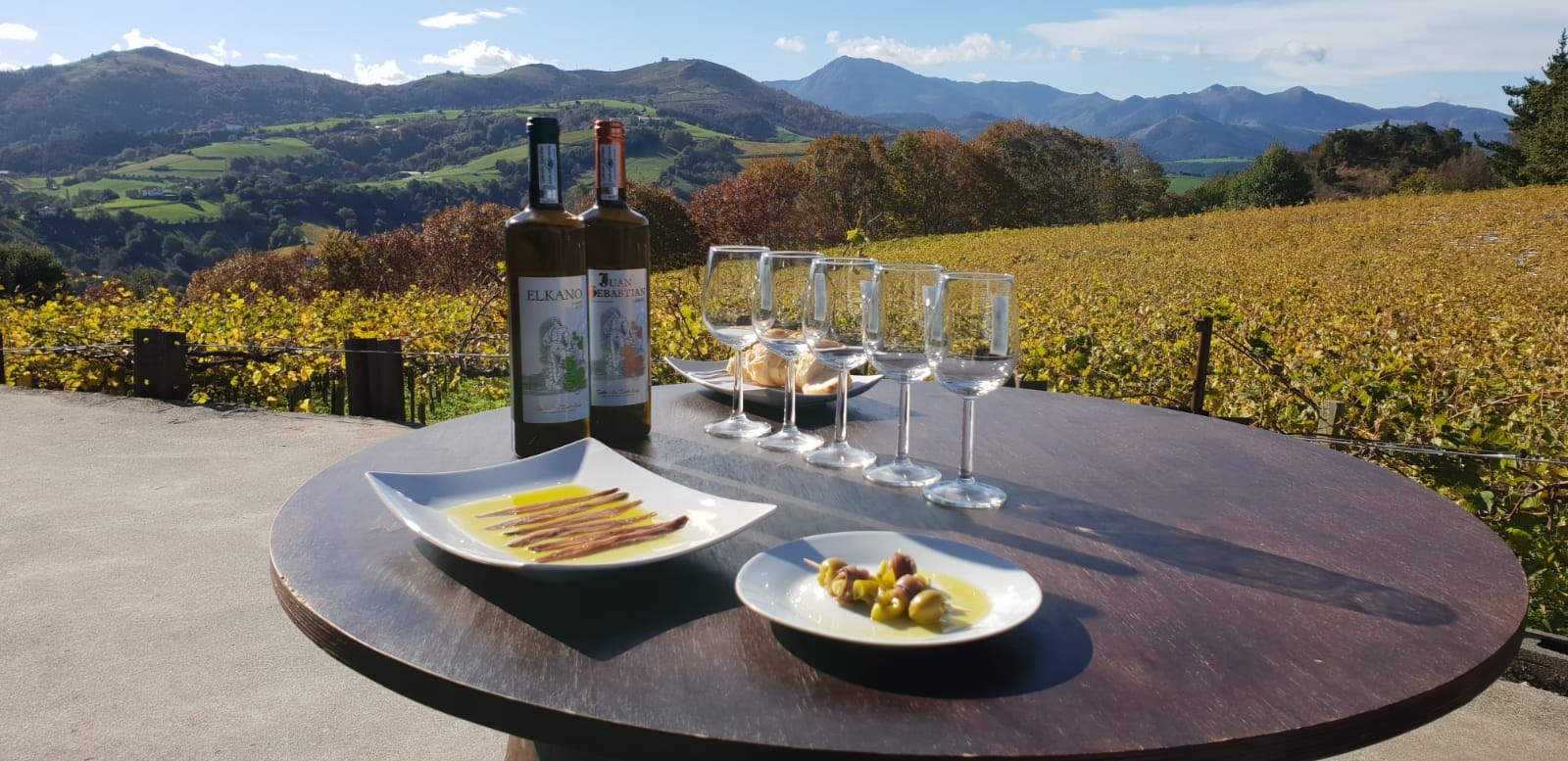 Tour de Vino Txakoli en Getaria desde San Sebastián en Semi-Privado con Recogida - Acomodações em San Sebastian