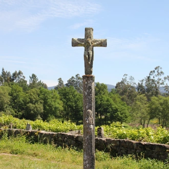 tourhub | Exodus Adventure Travels | Portuguese Camino Highlights Walk 