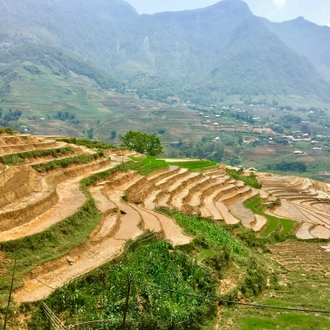 tourhub | Mr Linh's Adventures | Overnight homestay in Sapa 2 days 1 night 