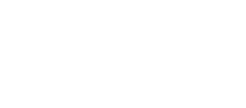 (c) Bluespire.com