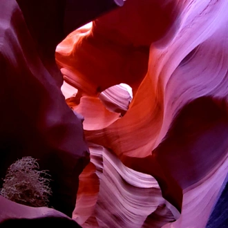 tourhub | Empire Vacations | Antelope Canyon and Horseshoe Bend 