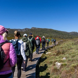 tourhub | Intrepid Travel | Walk Tasmania's Tarkine & Cradle Mountain 