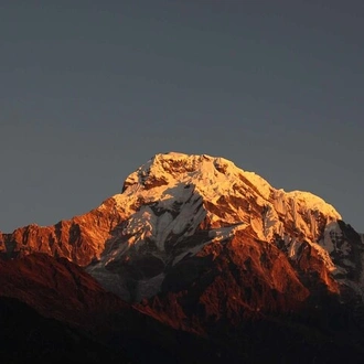 tourhub | Shepherd Holidays | Annapurna Base Camp Trek (All Inclusive)  