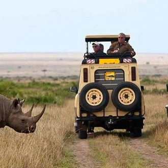 tourhub | Gracepatt Ecotours Kenya | 14-Days Kenya and Tanzania Camping Safari from Nairobi 