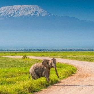 tourhub | Gracepatt Ecotours Kenya | From Nairobi: 2 Days Amboseli National Park Safari Package | Tour Map