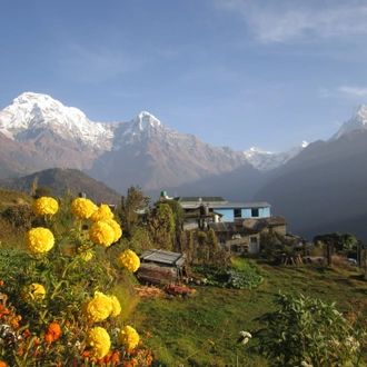 tourhub | Alpinist Club | Annapurna Poon Hill and Khopra Ridge Trek 