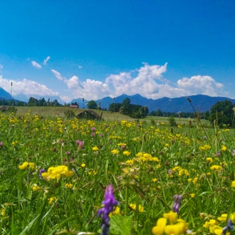 tourhub | Exodus Adventure Travels | Lakes & Mountains of Bavaria Cycling 