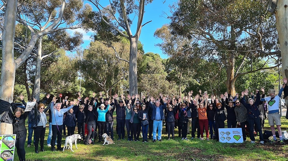 Hear the story of the battle to save these trees in Denise Norton Park / Pardipardinyilla (Park 2)