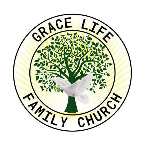 15 Passenger Van | Grace Life Family Church (Powered by Donorbox)