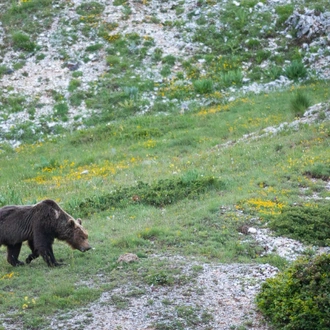 tourhub | Exodus Adventure Travels | Italian Apennines: Walks &amp; Wildlife 