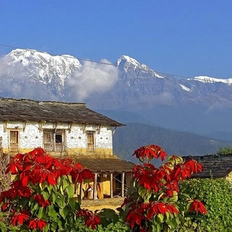 tourhub | Liberty Holidays | 3 Days Pokhara to Dhampus village trek via Australian camp 
