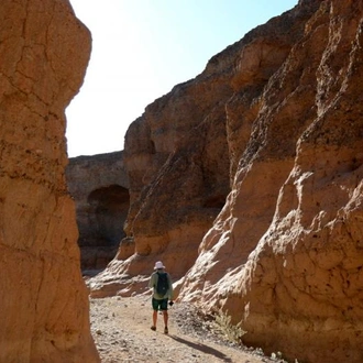 tourhub | Chameleon Safaris Namibia | 15 Day Dunes , Wildlife and Surfing adventure 