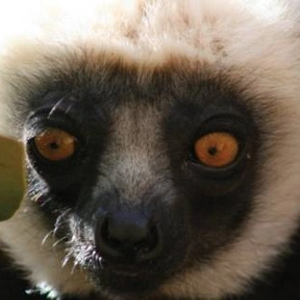 tourhub | World Expeditions | Culture & Wildlife of Madagascar 