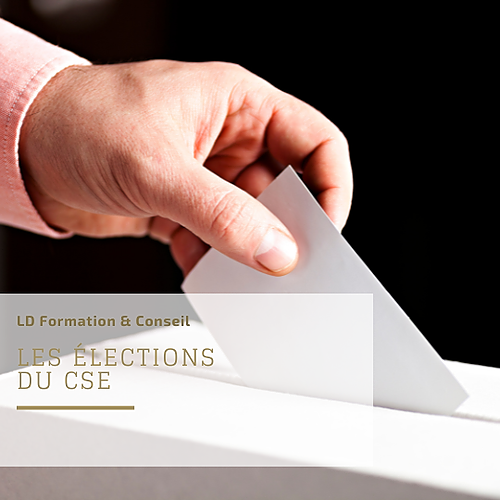 Représentation de la formation : Les élections du CSE