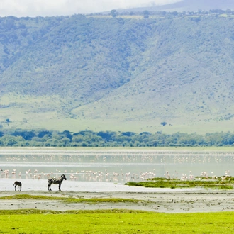 tourhub | Intrepid Travel | Kenya and Tanzania Family Safari  