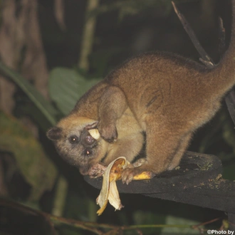 tourhub | Ecuador Wonders | Wildlife Mainland Ecuador Small Group Tour 