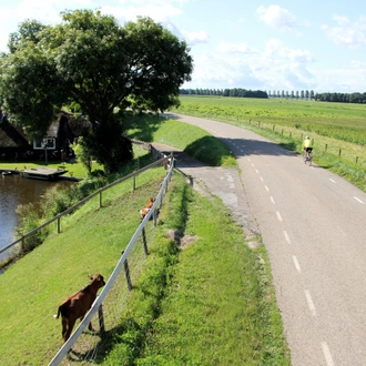 tourhub | Active Adventures | Netherlands Biking Adventure 