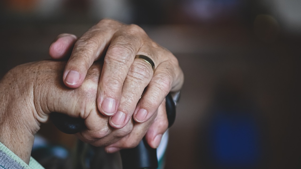 Représentation de la formation : Bâtir et Promouvoir une Culture de la Bientraitance: Pratiques et Éthique - 4 jours