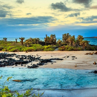 tourhub | Ecuador Galapagos Travels | 5 Days Galapagos Island Hopping: San Cristobal & Santa Cruz 