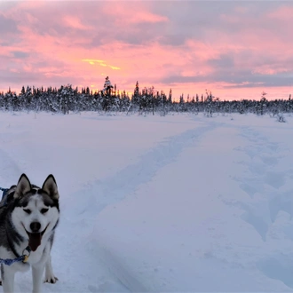 tourhub | Exodus Adventure Travels | Arctic Circle Aurora Adventure 