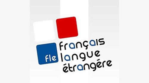 Représentation de la formation : Pratiquer le français dans un contexte professionnel