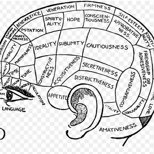 Holistic Psychiatry and Frequency Medicine Evaluation