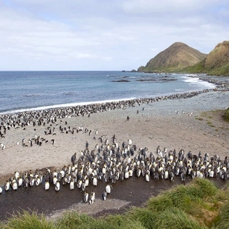 tourhub | Heritage Expeditions | Galapagos of the Southern Ocean 