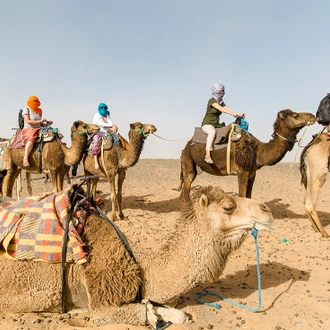 tourhub | Intrepid Travel | Morocco Uncovered 