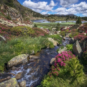 tourhub | Exodus Adventure Travels | Walking the Rugged Pyrenees of Andorra 