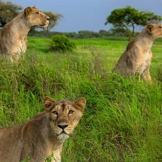 tourhub | Agora Voyages | Gujarat Historic Places & Wildlife Safari Tour 