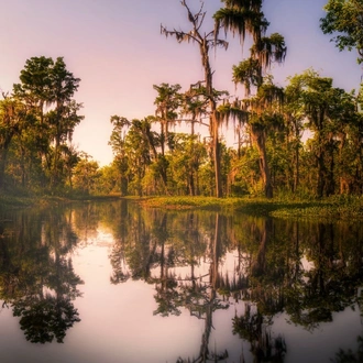 tourhub | Tours of Distinction | New Orleans & Louisiana Cajun Country 