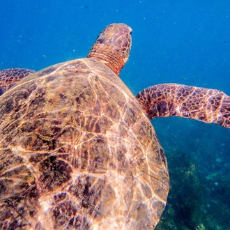 tourhub | Latin Adventures | Galapagos Island Hopping Adventure 