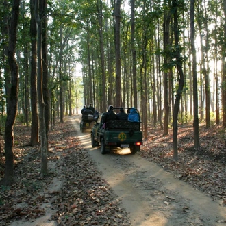 tourhub | Agora Voyages | Safari Expedition in Tadoba National Park from Nagpur 