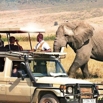 tourhub | Gracepatt Ecotours Kenya |  3 Day Masai Mara Safari Flying Package 