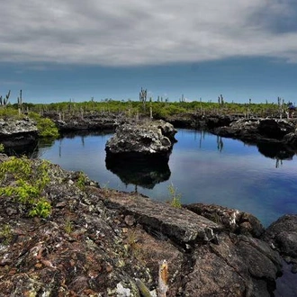 tourhub | Encounters Travel | Galapagos Essentials 