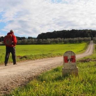 tourhub | UTracks | Via Francigena: Best of Tuscany 