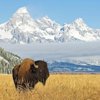 tourhub | Trafalgar | National Park Wonders with Black Hills Pow Wow 