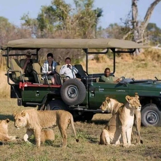 tourhub | Jossec Tours and Safaris | 6 Days Aberdares-Nakuru-Naivasha-Masai Mara Safari. 