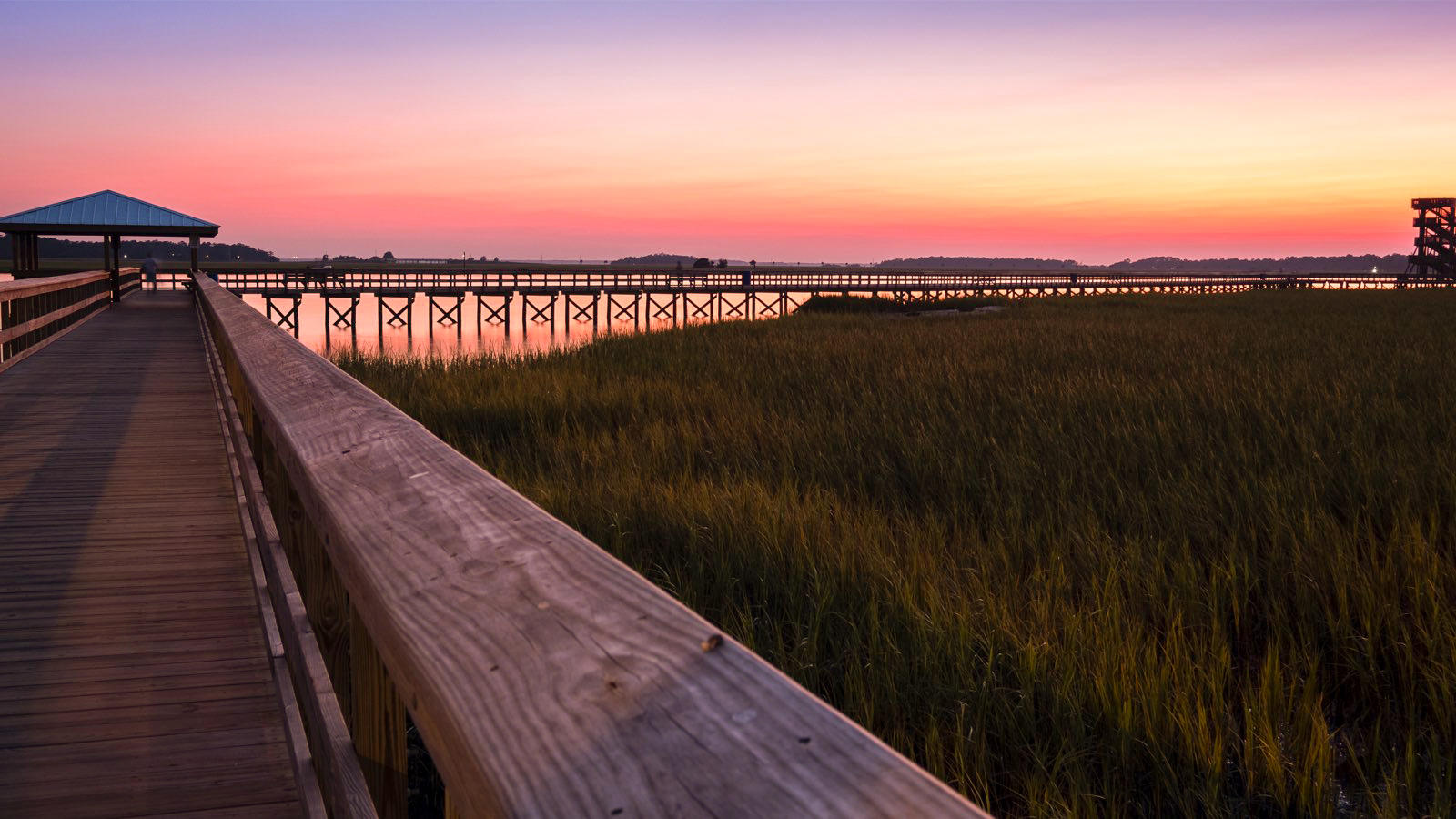 Port Royal Cypress Wetland & River Sunset