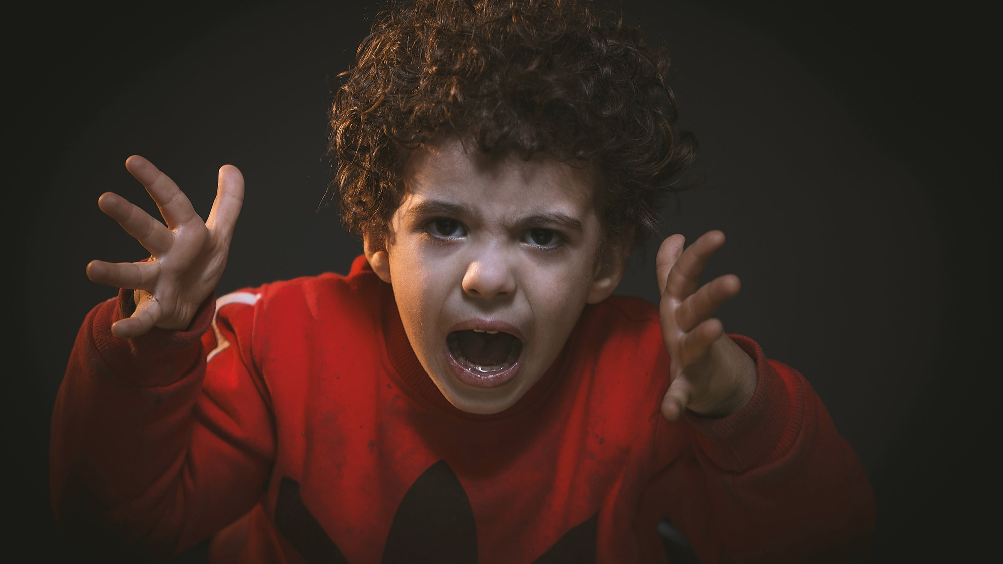 Représentation de la formation : Les manifestations d’agressivité&nbsp;des jeunes enfants àla lumière des connaissances scientifiques : lescomprendre pour mieux les accompagner